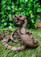 Lifelike Diamondback Rattlesnake Statue 6"H Realistic Snake Taxidermy Figurine