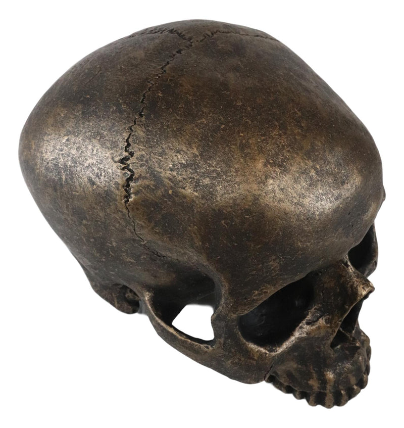 Ebros Pirate Treasure Relic Gold Rust Severed Upper Half Skull Figurine Statue