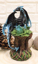 Ebros Blue Midnight Dragon Mother Guarding LED Translucent Egg Figurine Night Light