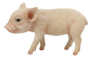 Adorable Realistic Animal Farm Babe Piglet Pig Statue 8"L Rustic Country Pigs