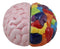 Ebros Right And Left Brains Magnetic Ceramic Salt Pepper Shakers Set 3.5"L