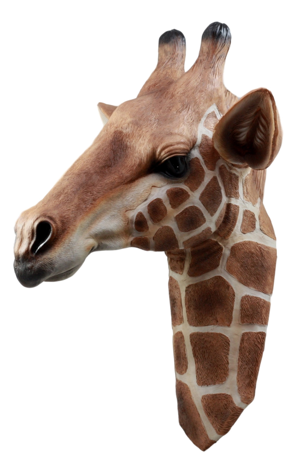 Ebros Safari Giraffe Head Trophy Taxidermy Wall Decor Sculpture Hanging Plaque