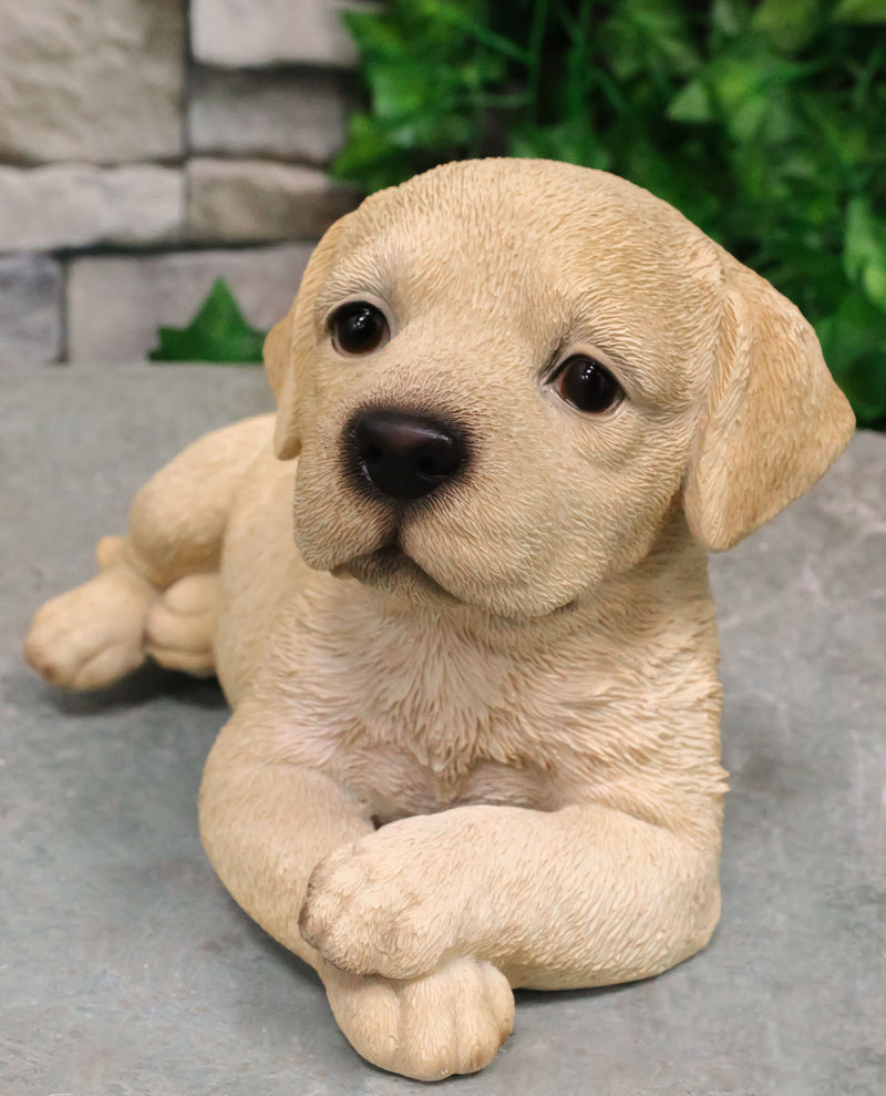 Lifelike Adorable Labrador Puppy Dog Lying On Belly With Crossed Arms Figurine