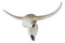 Rustic Western Texas White Longhorn Steer Cattle Cow Skull Wall Decor Plaque 20"