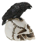 Ossuary Macabre Harbinger Of Doom Black Raven Crow Bird On Skull Mini Figurine