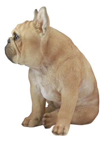 Large Lifelike Realistic French Bulldog Statue With Glass Eyes 15.75"H Frenchie