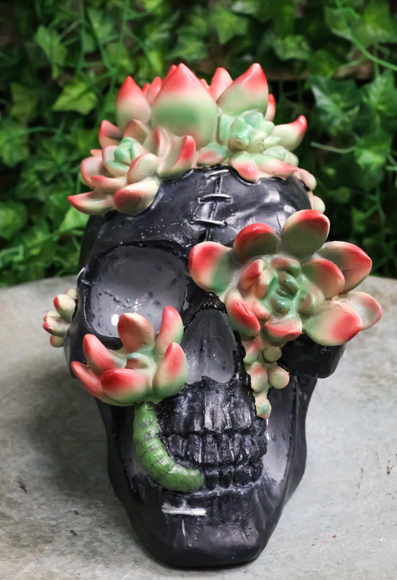 succulents in skulls Day of The Dead Flora And Fauna Black Skull With Budding Succulents Fi– Ebros Gift