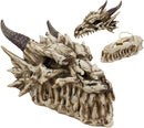 Ebros 9" L Grinning Fossil Bone Skeleton Dragon Skull 'Stryker' Decorative Box