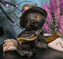 Halloween Black Cat with Witch Hat & Cape Flying On Magical Broomstick Figurine