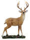 Ebros Wildlife 8 Point Trophy Buck Statue 15"H Outdoor Hunter Whitetail Deer Figurine