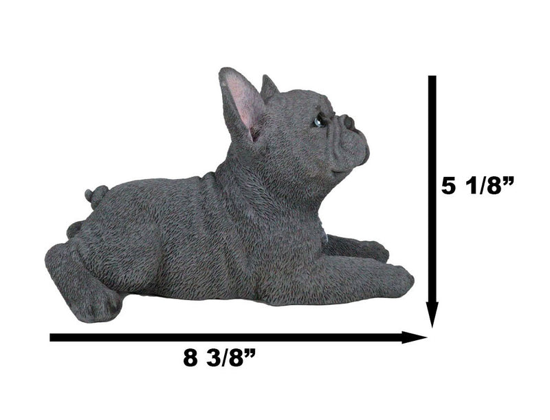 Realistic Lifelike Gray French Bulldog Puppy Sitting On Belly Figurine Frenchie