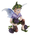 Colorful Enchanted Fairy Garden Boy Elf Pixie Fairy Picking Berries Figurine 4"H