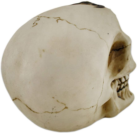 Skull with Red Jeweled Headpiece Statue 6"L Collectible Home Decor