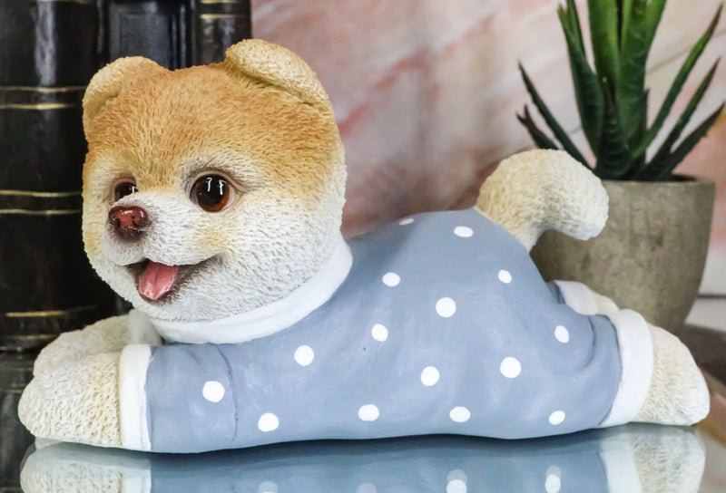 Ebros Polkadot Pajamas Boo The World's Cutest Pomeranian Dog Statue Pet Pal Dogs Collectible Breed Pomeranians Memorial Collectible Resin Decor Figurine with Glass Eyes Official Licensed Sculpture