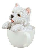 Realistic White Westie Dog in Teacup Statue 6"H Pet Pal West Highland Terrier