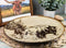 Ebros Grassland Plains Bison Buffalo Round Salad Or Dessert Plate Set of 2 8.5"D