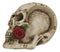 Ghastly Romantic Red Rose Skull Cigaretter Ashtray Resin Skeleton