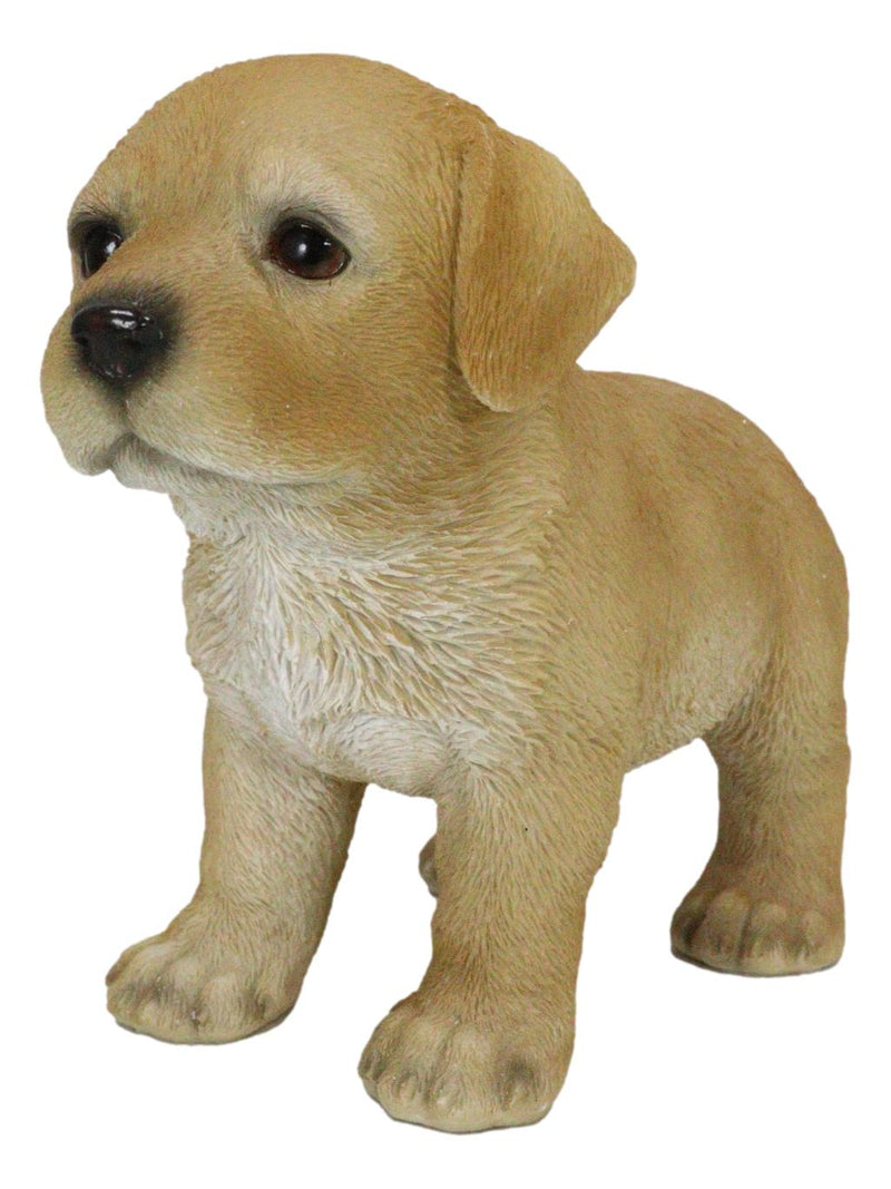 Adorable Labrador Puppy Dog with Begging Glass Eyes Figurine Pet Pal Animal Art