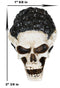 Halloween Macabre Mrs Frankenstein The Bride Skull Mini Figurine Zombie Gothic