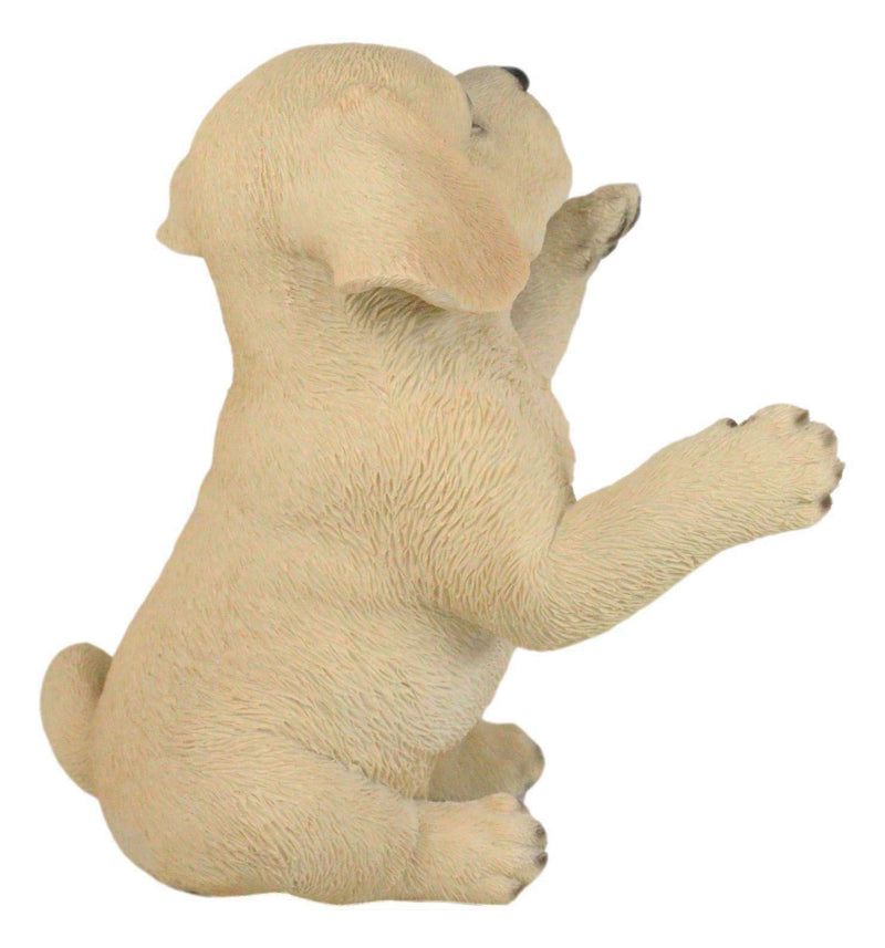 Ebros Begging Adorable Fawn Labrador Retriever Puppy Dog Pet Pal Pooch Figurine 6"H