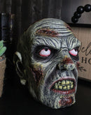 Apocalypse Zombie Undead Walker Skull With Peeling Flesh Rotten Teeth Figurine