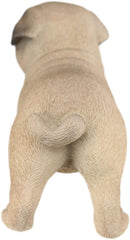Ebros Realistic Adorable Fawn Pug Puppy Dog Figurine 5"L Pet Pal Pugsy