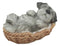 Realistic Miniature Schnauzer Puppy Sleeping In Wicker Basket Figurine 7"Long