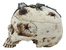 Ebros Steampunk Horned Demon Cyborg Skull Jewelry Box Statue Robotic Bone Devil