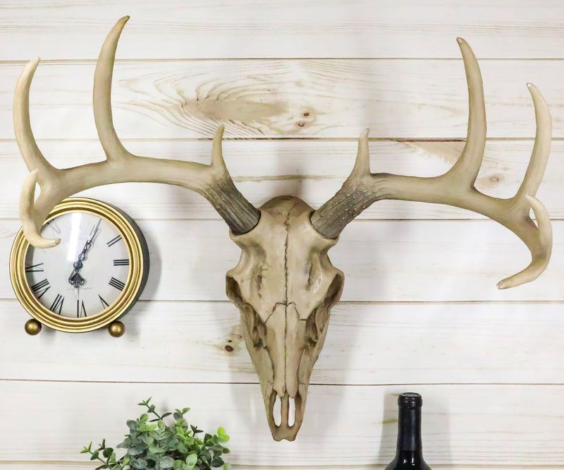 Ebros 18."L 10 Point Buck Head Wall Mount Resin Stag Deer Skull Antler Sculpture - Ebros Gift