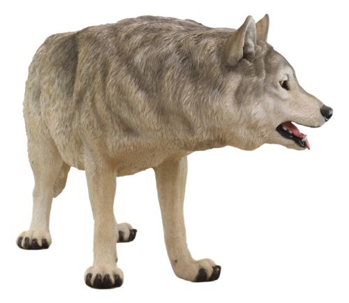 Ebros Large 4 Feet Long Wildlife Alpha Gray Wolf Statue Realistic Timber Wolf Decor