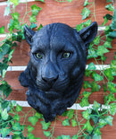 Ebros Large Black Panther Head Wall Decor Plaque 16"Tall Jaguar Wall Bust Plaque
