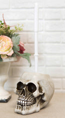 Macabre Grinning Skull Cranium Toilet Brush & Base Holder Bathroom 2 Piece Set