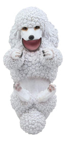 Ebros Purebreed Pedigree Canine White Poodle Dog Wine Bottle Holder Figurine