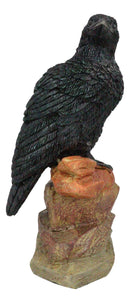Edgar Poe Realistic Goth Raven Crow Perching On Rocks Figurine Macabre Dark Arts