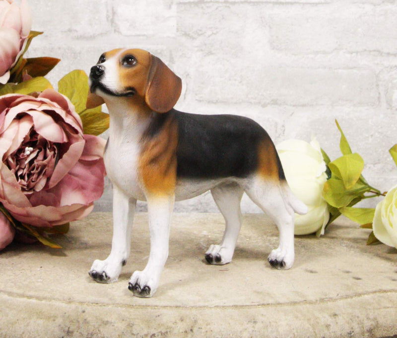 Ebros Realistic Adorable Tri Color Beagle Dog Figurine 7.75" Long Beagles Puppy Dogs Pet Memorial Collectible Decor Statue with Glass Eyes