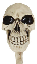 Pack Of 2 Macabre Halloween Grinning Evil Skull Head Bone Wall Coat Hook Plaque