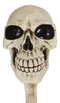 Pack Of 2 Macabre Halloween Grinning Evil Skull Head Bone Wall Coat Hook Plaque