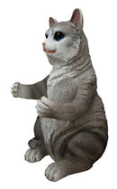 Ebros American Shorthair Grey Kitty Cat Spice Salt Pepper Shakers Holder Figurine