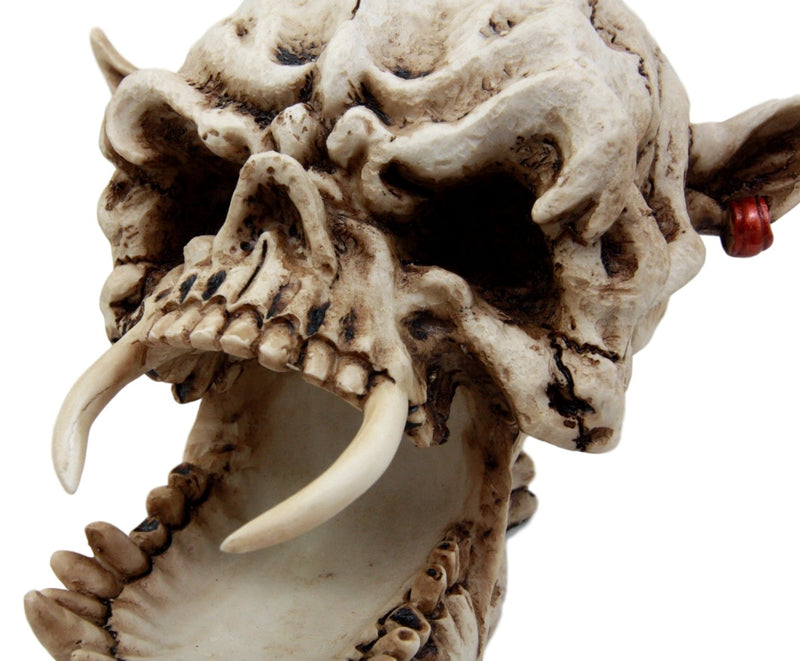 Demon Pirate Skull Figurine 6.5"L Fanged Bone Vampire Marauder Skeleton Decor