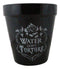 Water Don't Torture Rose Vines Wicca Witch Apothecary Flower Herbs Planter Pot