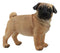 Ebros Large Realistic Fawn Pug Dog Statue 12"L Fine Pedigree Dog Breed Pugsy