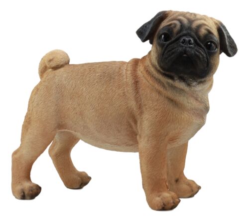 Ebros Large Realistic Fawn Pug Dog Statue 12"L Fine Pedigree Dog Breed Pugsy