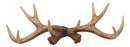 Ebros Brown Rustic 10 Point Stag Deer Antlers Rack Wall Plaque 17"W Coat Hooks