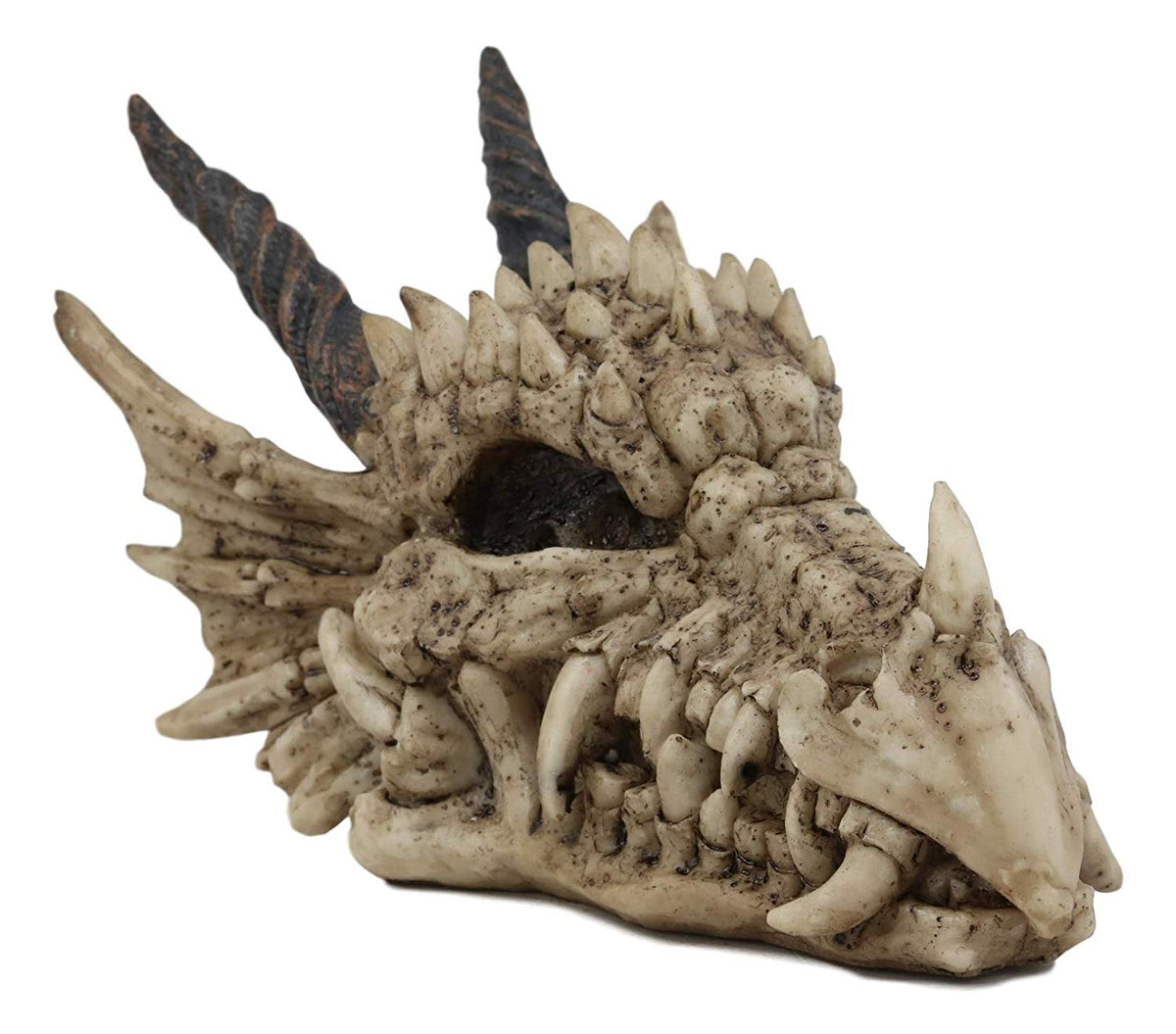 Ebros Jurassic Beowulf Elder Dragon Head Skull Realistic Fossil Statue 7.75" L