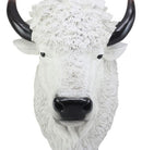 Ebros Sacred Lightning White Buffalo Wall Decor 18"H Faux Bison Head Taxidermy