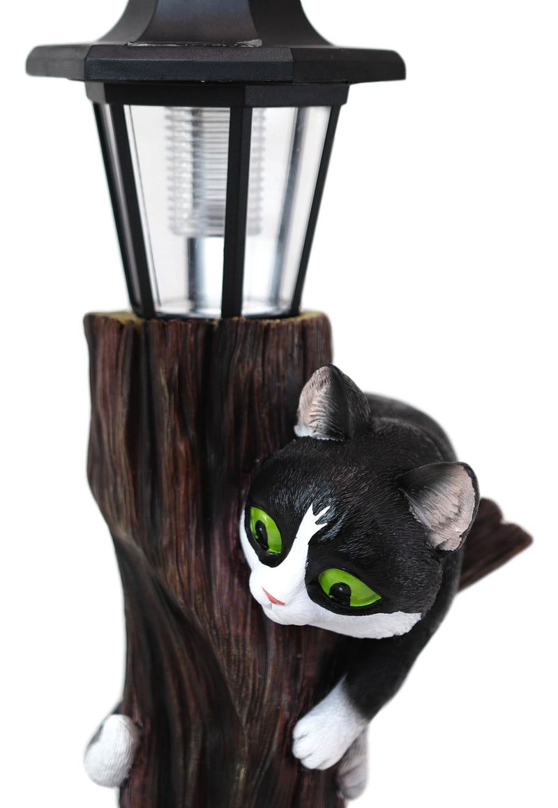 Black Kitten Cats by Garden Tree Outpost Statue With Solar LED Lantern Light