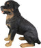 Ebros Sitting Rottie Rottweiler Dog Statue 21" Tall With Glass Eyes Collectible