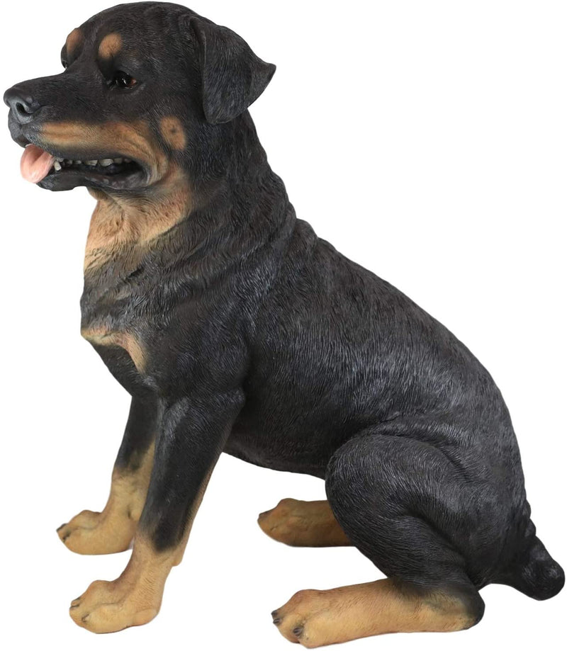 Ebros Sitting Rottie Rottweiler Dog Statue 21" Tall With Glass Eyes Collectible