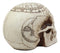 Ebros Solar Astrology Celestial Skull Statue Cartography Skull Cranium Figurine