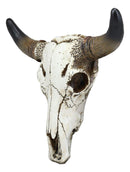 Western Aged White Steer Bison Buffalo Bull Cow Horned Skull Head Wall Decor - Ebros Gift